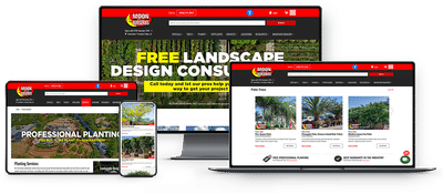 Enterprise eCommerce Web Application - Creación de Sitios Web