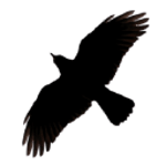 RAVENSOFT WEB YAZILIM DESTEK HİZMETLERİ - BANKA VE ÖDEME KURULUŞU ÇÖZÜMLERİ logo
