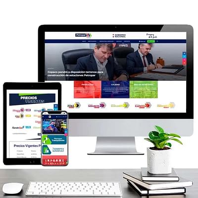 Diseño Web para institución del Estado - Creación de Sitios Web