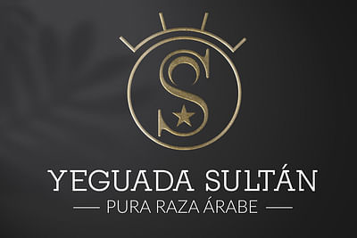 Identidad Corp. Branding Logotipo Yeguada Sultán - Branding y posicionamiento de marca