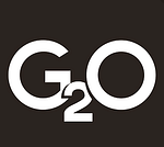 G2O Brand Builders logo