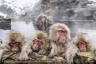 MONKEYS - Advertising