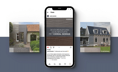 Online marketing campaign for Cedral - Social media