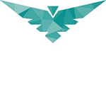 Allies Group