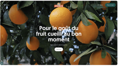 Andros: campagnes nationales de marketing digital - Marketing
