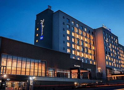 Social Media & Brand Development for Radisson Blu - Online Advertising