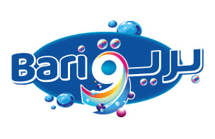 360° Brand & Digital Growth Strategy for Bari9 - Marketing