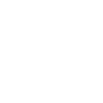 Dennis Websolutions logo