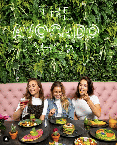 The Advocado Show - Ontwerp