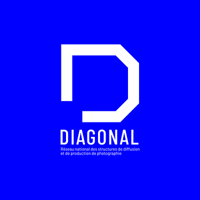 Rapports annuels Réseau Diagonal 2022-2024 - Design & graphisme