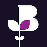 Black Country Chamber Of Commerce