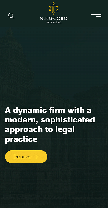 Establishing NNA Inc. from Scratch in 45 Days - Digital Strategy