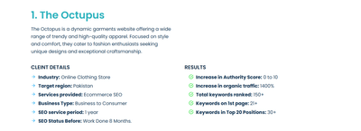 The Octupus SEO Case Study - SEO