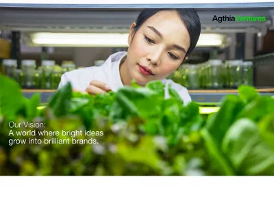 Agthia Ventures - Branding & Positioning