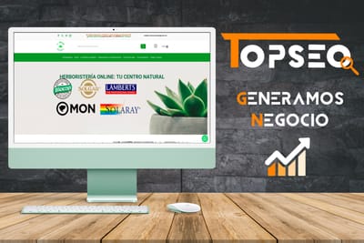 POSICIONAMIENTO SEO - TU CENTRO NATURAL - Référencement naturel