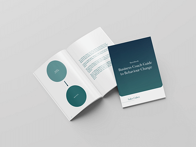 Sales Cubes Playbooks - Communication corporate