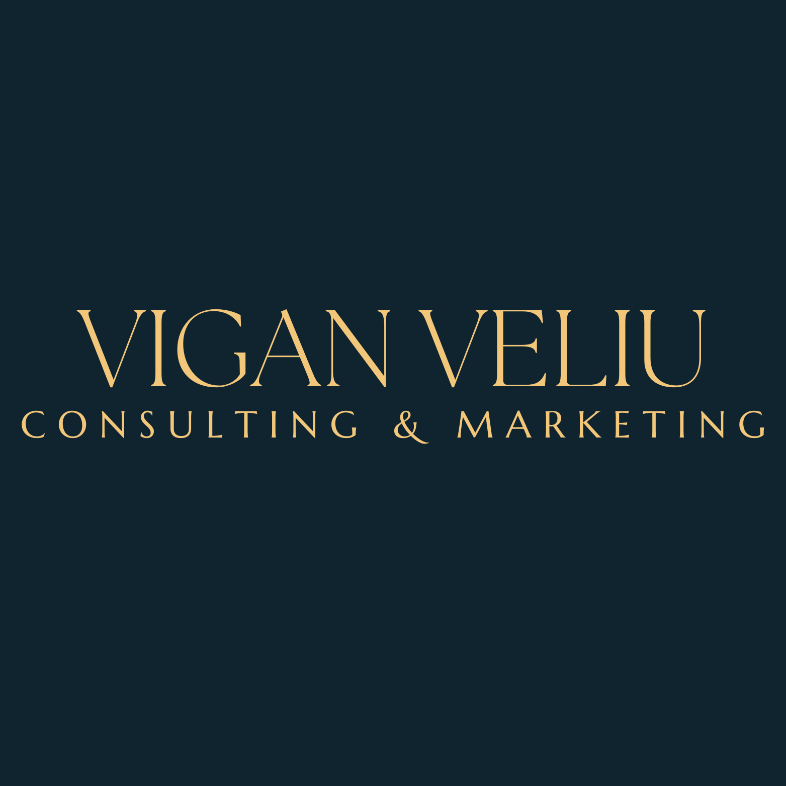 Vigan Veliu Consulting & Marketing