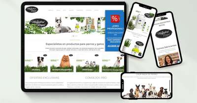SEO, variantes de tarifas, reestructuración web - SEO