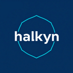 Halkyn Consulting Ltd logo