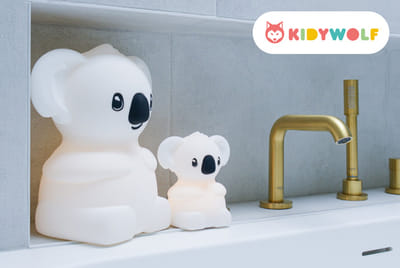 x4 ROAS in 3 months for kids brand e-shop Kidywolf - Publicité en ligne