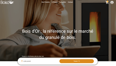 Bois d'Or - E-commerce - Google Ads - Online Advertising