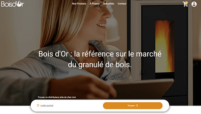 Bois d'Or - E-commerce - Google Ads - Publicité en ligne