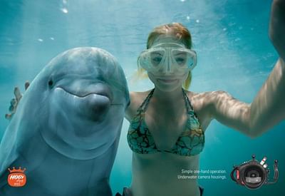 Dolphin - Advertising