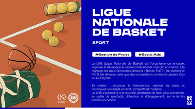 LNB | Stratégie d'acquisition - Online Advertising