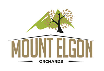 Re-Branding Mount Elgon Orchards - Ergonomie (UX / UI)