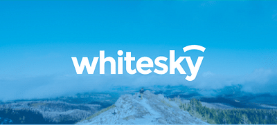 Whitesky - Data Consulting