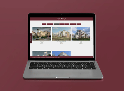 Sefik Birkiye - Référencement naturel