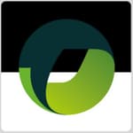 4V Marketing logo