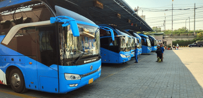 SEO Optimization & Digital Growth Strategy for Daewoo Express Platform - Référencement naturel