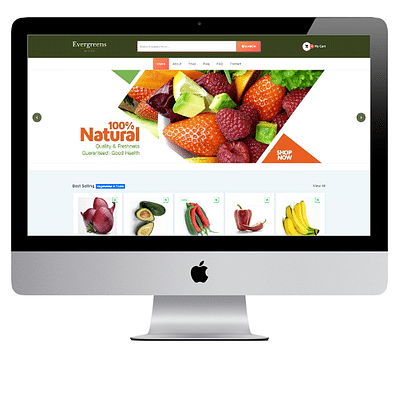 eCommerce website for Evergreens Africa - Webseitengestaltung