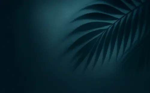 Miami design cover