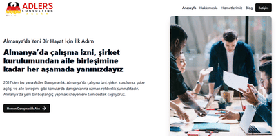 Adlers Consulting - Website Creation
