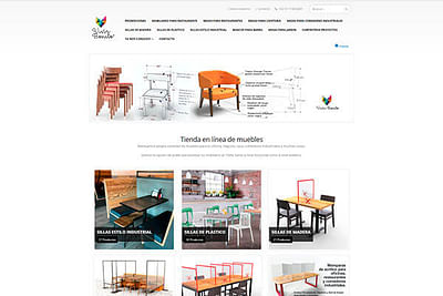 Vivir Bonito - Website Creation