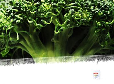 Broccoli thread - Werbung
