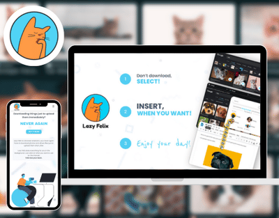 Lazy Felix browser add-on development - Software Entwicklung