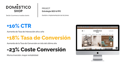Domestico Shop Google Ads Manager - E-Commerce