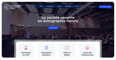 CFEF - Catégorisation de vidéo par thème et auteur - Inteligencia Artificial