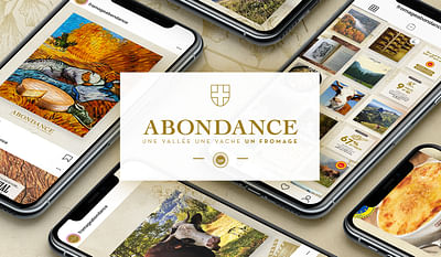AOP ABONDANCE : CM et Social Ads - Stratégie de contenu