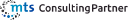 Mts Consulting Partner logo