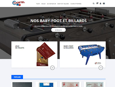 Refonte site e-commerce vente de jeux plein air - Webseitengestaltung