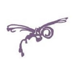 Dragonfly Digital Video Services logo