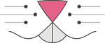 Word of MICE logo