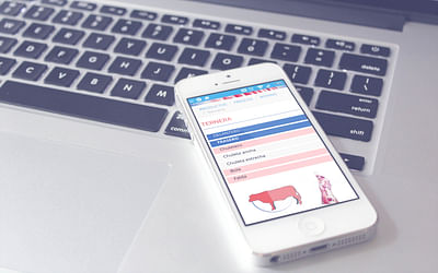 Diseño de Web Responsive para Matadero del Sur - Fotografía