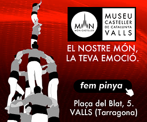 CAMPAÑA ONLINE PARA EL MUSEO CASTELLER DE CATALUÑA - Website Creation
