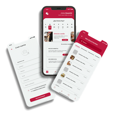 Holistik (App + Panel Web) - E-commerce
