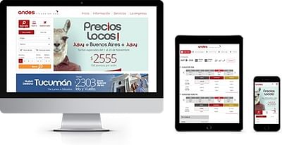 Andes Líneas Aéreas - Site web et campagne - E-commerce